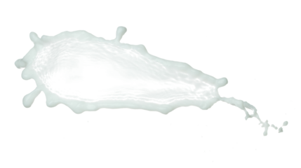 Daily Milk white lotion droplet fly splashing. Milk cream pour float to mid air. Moisturizer lotion explosion spill. White background isolated high speed shutter freeze