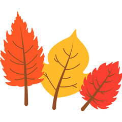 Fototapeta premium Autumn Leaf Vector