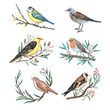 Birds on branches with leaves and flowers. Watercolor illustration in retro style. Collection of hand-drawn design elements isolated on white background.