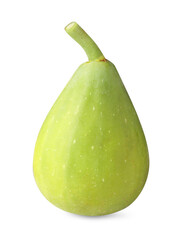 One fresh green fig isolated on white