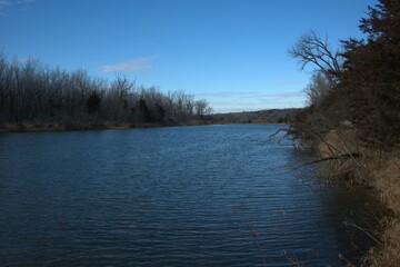 Flowing Creek Through The Trees