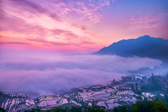 Yuanyang Duyi tree terrace, Yuanyang County, Honghe Prefecture, Yunnan province, China.