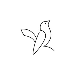 bird line minimalist logo design graphic vector