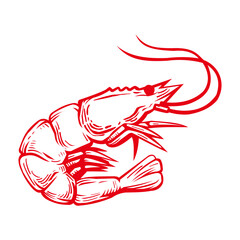 Make a Professional Shrimp Vector