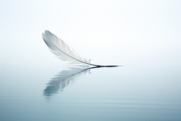 Minimalist image of a single feather floating on still water, with clear reflections.