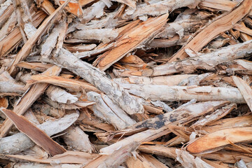 Beauty in Debris: Artful Harmony of Wood Cutting Waste