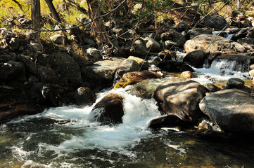 A stormy stream of a shallow stream flowing down from the mountains through the currents of the...