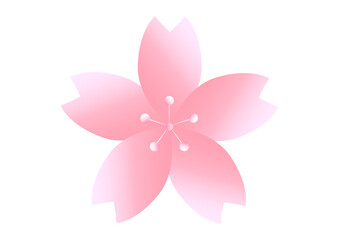 Fototapeta premium 桜の花びらのアイコン素材 シンプルな桜の花のイラスト
