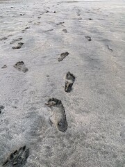 砂浜の足跡、砂浜を歩いた跡、砂浜についた裸足の後、素足で歩いた跡、由比ヶ浜海岸の足跡、海岸の足跡
