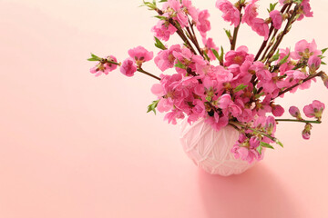 おひな祭り　桃の花