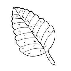 autumn leaves outline