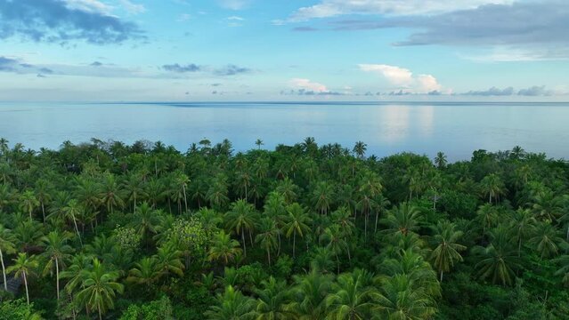 A serene sunrise illuminates the palm-covered, remote island of Koon near Seram, Indonesia. This scenic island's coral reefs, and the surrounding seas, support extraordinary marine biodiversity.