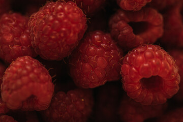 close up of raspberries