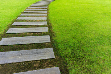 stone path in the park with green grass