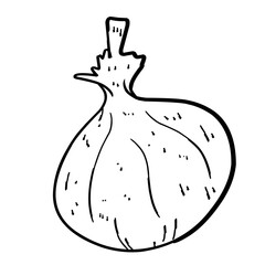 vegetable white onion