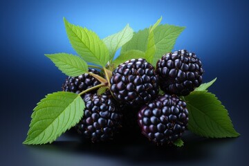 A Blackberry fruit