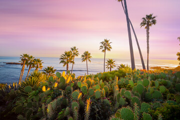 Beautiful view of Laguna Beach sunset at the beach. Laguna Beach is located in southern California....