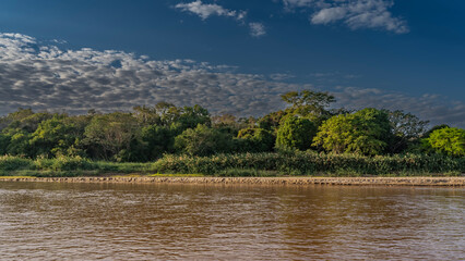 Lush green vegetation grows on the banks of the red-brown river - trees, bushes. Beautiful clouds in the blue sky. Ripples on the shiny water. Madagascar. Manambolo river.