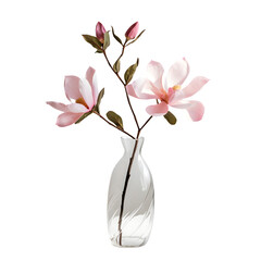 Beautiful pink magnolia flower in transparent glass vase standing isolated on transparent background Generative AI	
