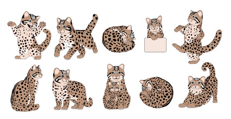 Set of Endangered Leopard Cat, an Endemic Species in Asia - Animal Character Design with Flat Colors in Various Poses, Isolated on White Background.