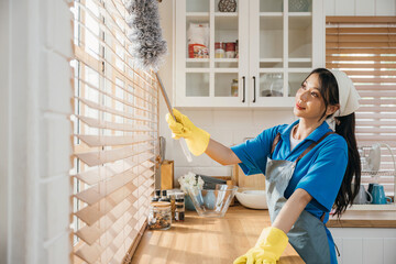 Woman enjoys cleaning dirty window blinds ensuring hygiene. Holding duster and whisk for routine...