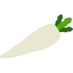 Radish Illustration