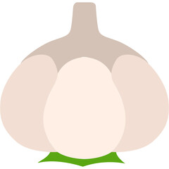 Garlic Illustration