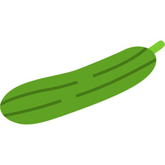 Cucumber Illustration