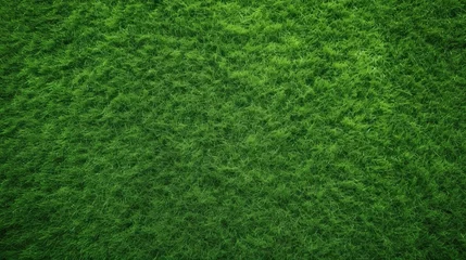 Deurstickers Gras Top view of the green grass of a soccer field