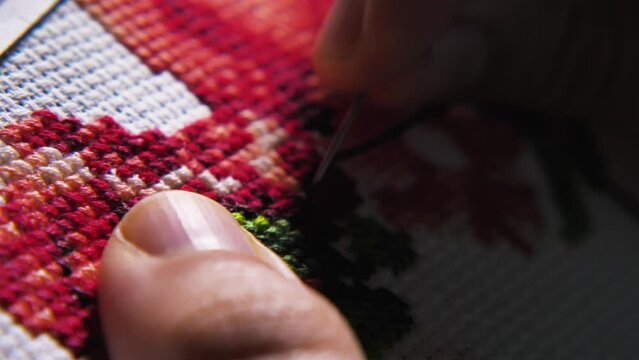 A woman is embroidering a brightly coloured design on a canvas held in place by a hoop. Close-up. A relaxing hobby. Part of the process of making a beautiful embroidery