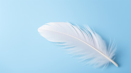 white feather on a pale blue background