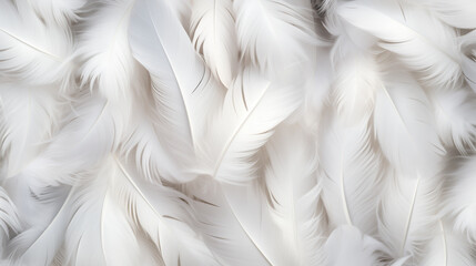 Fototapeta premium white feathers delicate backgrounds, top view