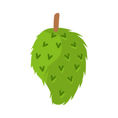 Soursop Illustration