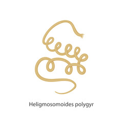 Parasites, worms, helminths in humans, cats, dogs. Hand drawing.