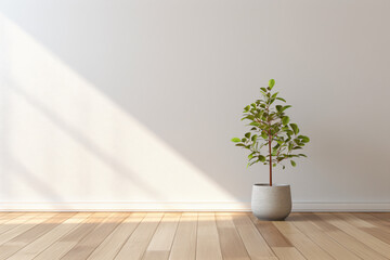 a plant in a pot on a wooden floor