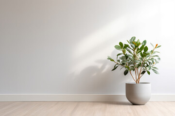 a plant in a pot on a wooden floor - obrazy, fototapety, plakaty