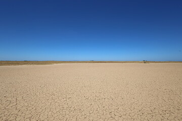 dry pan in the desert