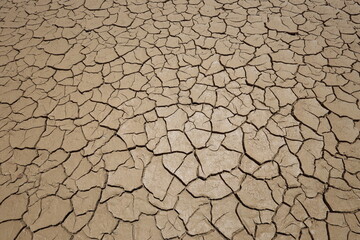 dry cracked earth