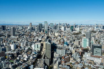 高層ビルから望む東京の風景