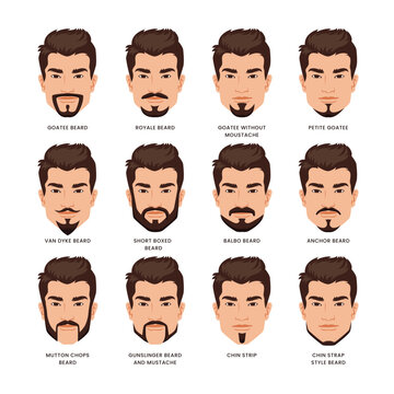 Beard styles guide, Facial hair types. Variations haircuts beards, types of sideburns, the shape of whiskers, Mustache and beard with a guy model face collection set, barber big collection.
