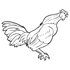 rooster sketch vector illustration