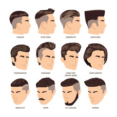 Set of different types of man hairstyle cut collection, fashionable mens haircut isolated on white background, hipster tailor salon man fashion, trendy boy haircut. - obrazy, fototapety, plakaty