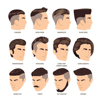 Set of different types of man hairstyle cut collection, fashionable mens haircut isolated on white background, hipster tailor salon man fashion, trendy boy haircut.