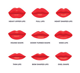 Set of different various types of woman Lips Shape collection, Set of vector lips shapes, Set of red lips.Colorful lip stick set, Different red lip shapes types. - obrazy, fototapety, plakaty