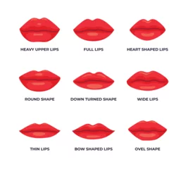 Fotobehang Set of different various types of woman Lips Shape collection, Set of vector lips shapes, Set of red lips.Colorful lip stick set, Different red lip shapes types. © sisapagi