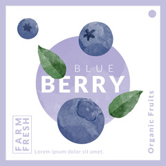 Blue berry packaging design templates, watercolour style vector illustration.