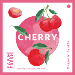 Cherry packaging design templates, watercolour style vector illustration.