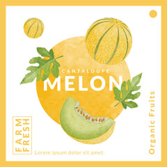 Cantaloupe Melon packaging design templates, watercolour style vector illustration.