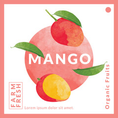 Mango packaging design templates, watercolour style vector illustration.