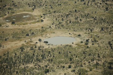 aerial view of waterholes in the bush of Botswana
